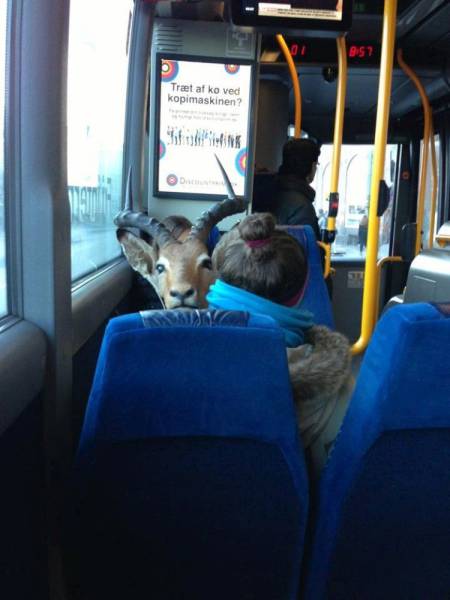 daily picdump 100 pics 71.html - 100 HD Photos | Premium Gallery 2015