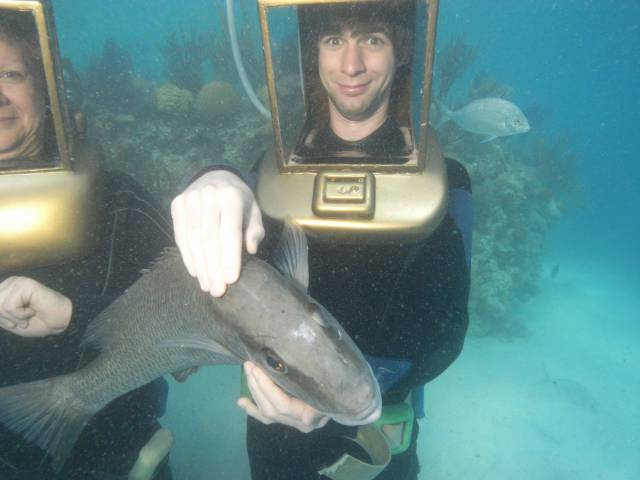 daily picdump 100 pics 71.html - 100 HD Photos | Premium Gallery 2015