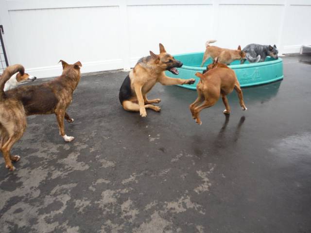 daily picdump 100 pics 71.html - 100 HD Photos | Premium Gallery 2015