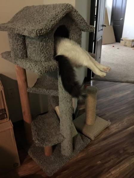 morning picdump 55 pics 3.html - 55 HD Photos | Premium Gallery 2015