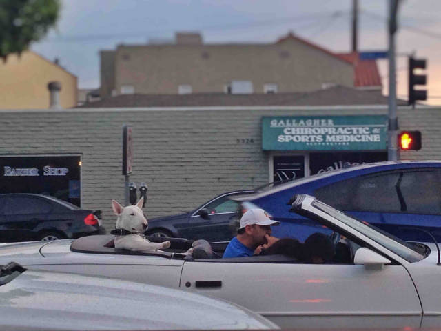 morning picdump 55 pics 3.html - 55 HD Photos | Premium Gallery 2015