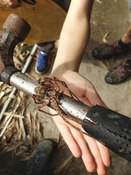 morning picdump 55 pics 3.html - 55 HD Photos | Premium Gallery 2015