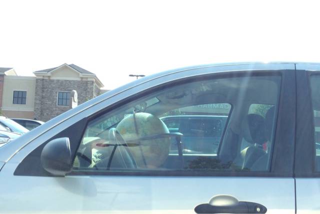 morning picdump 55 pics 3.html - 55 HD Photos | Premium Gallery 2015