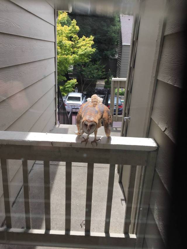 morning picdump 55 pics 3.html - 55 HD Photos | Premium Gallery 2015