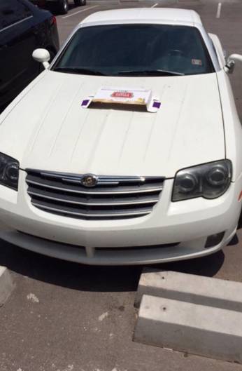 morning picdump 55 pics 3.html - 55 HD Photos | Premium Gallery 2015