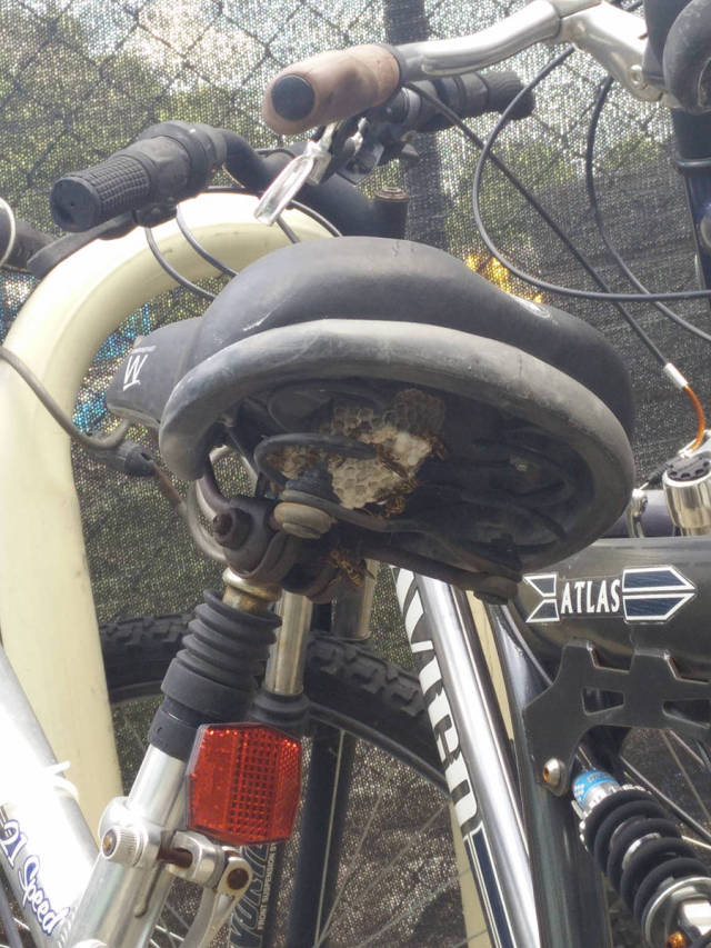 morning picdump 55 pics 3.html - 55 HD Photos | Premium Gallery 2015