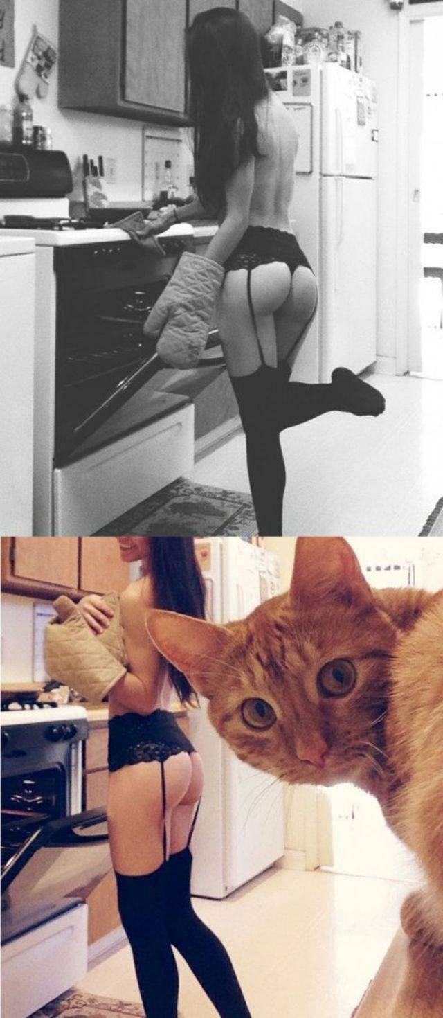 grownup corner 59 pics 10 gifs 21.html - 59 HD GIF | Premium Gallery 2015