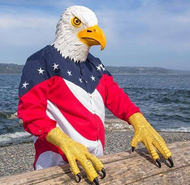 Happy Fourth of July!