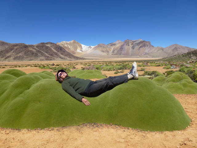 morning picdump 53 pics 7.html - 53 HD Photos | Premium Gallery 2015