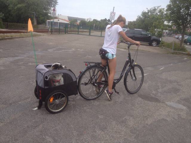 morning picdump 58 pics 21.html - 58 HD Photos | Premium Gallery 2015