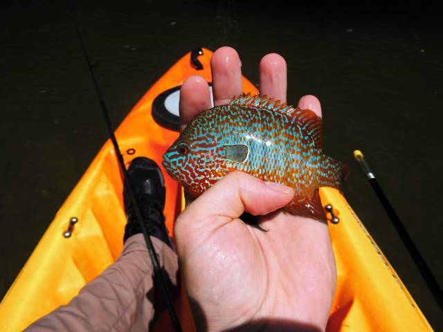 morning picdump 58 pics 21.html - 58 HD Photos | Premium Gallery 2015