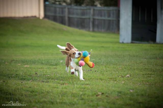 morning picdump 58 pics 21.html - 58 HD Photos | Premium Gallery 2015