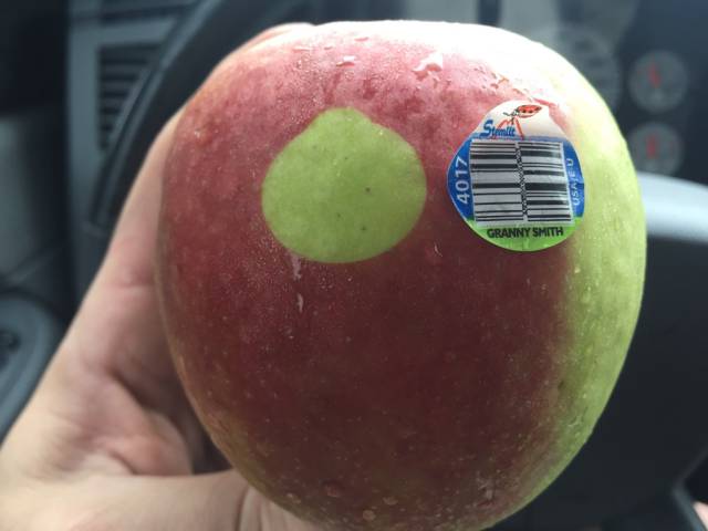 morning picdump 58 pics 21.html - 58 HD Photos | Premium Gallery 2015