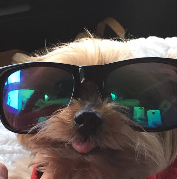 morning picdump 58 pics 21.html - 58 HD Photos | Premium Gallery 2015