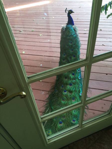 morning picdump 54 pics 7.html - 54 HD Photos | Premium Gallery 2015