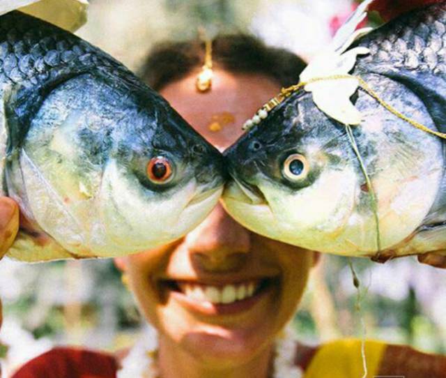 morning picdump 54 pics 7.html - 54 HD Photos | Premium Gallery 2015