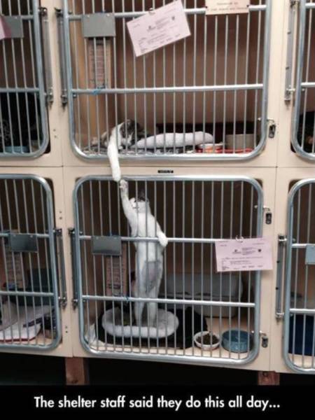 morning picdump 54 pics 7.html - 54 HD Photos | Premium Gallery 2015