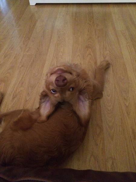 page,28,top 1500 daily pics of the year 2015.html - 1 HD Photos | Premium Gallery 2015