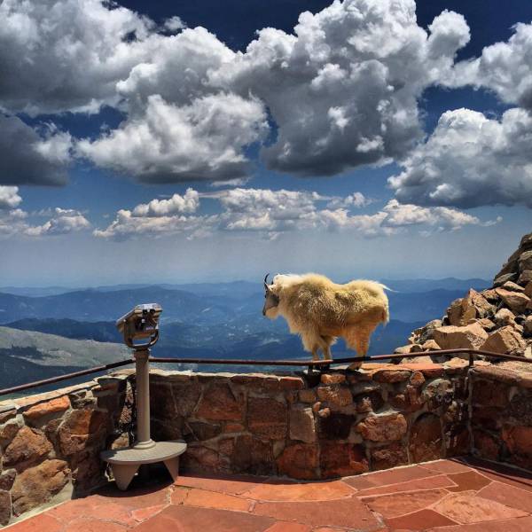 morning picdump 53 pics 11.html - 53 HD Photos | Premium Gallery 2015