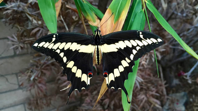 morning picdump 53 pics 11.html - 53 HD Photos | Premium Gallery 2015