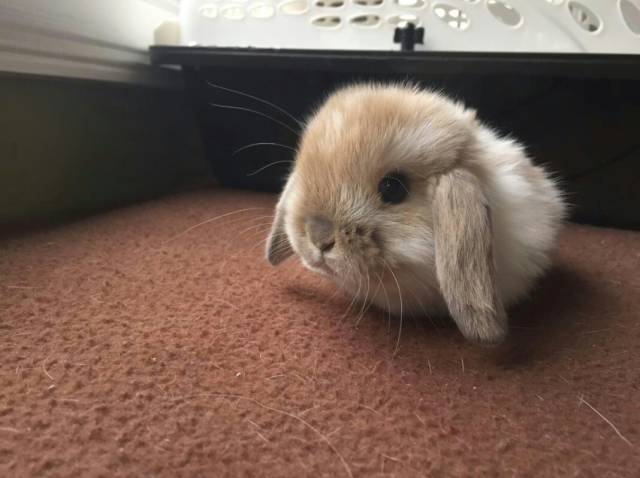 morning picdump 53 pics 11.html - 53 HD Photos | Premium Gallery 2015