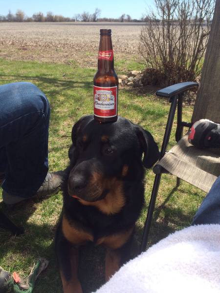 morning picdump 53 pics 11.html - 53 HD Photos | Premium Gallery 2015