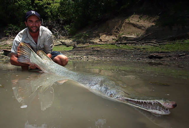 morning picdump 53 pics 11.html - 53 HD Photos | Premium Gallery 2015