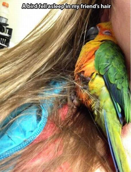 page,38,top 1500 daily pics of the year 2015.html - 1 HD Photos | Premium Gallery 2015