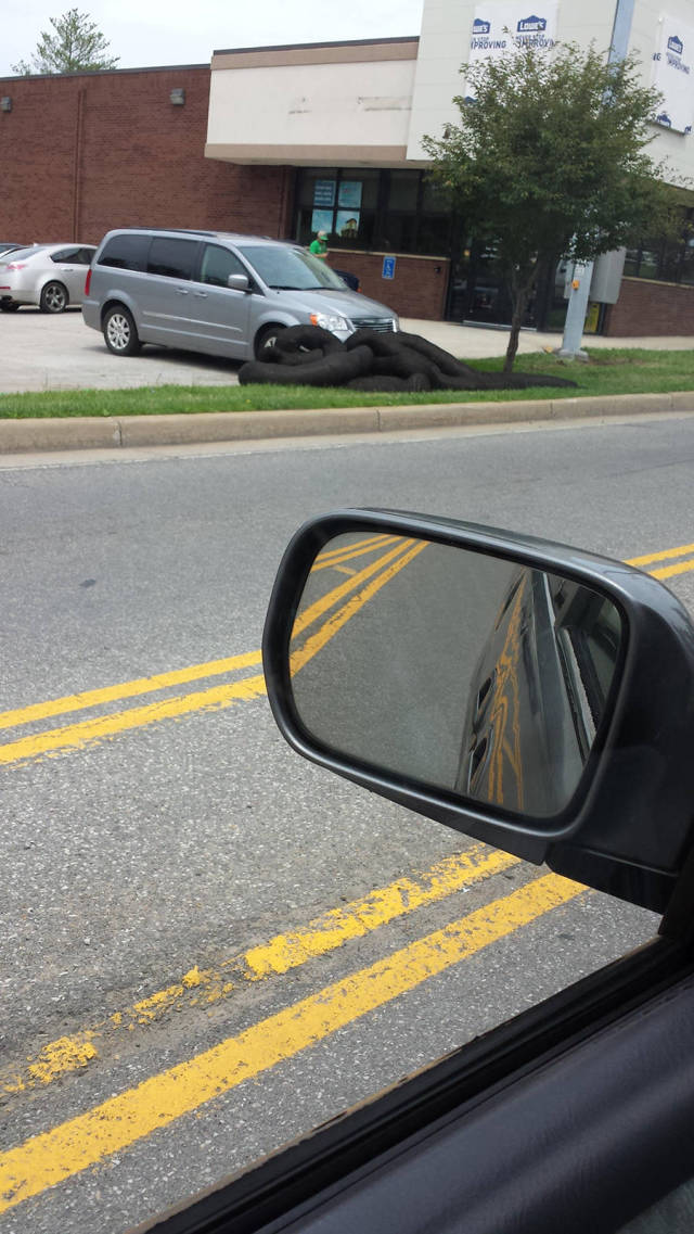 morning picdump 55 pics 21.html - 55 HD Photos | Premium Gallery 2015