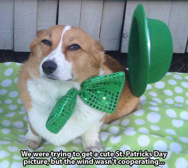 When Wind Is a Total Jerk