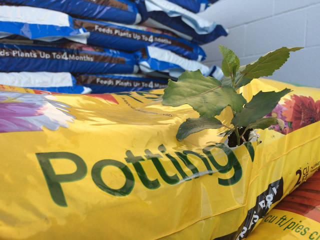 morning picdump 55 pics 24.html - 55 HD Photos | Premium Gallery 2015