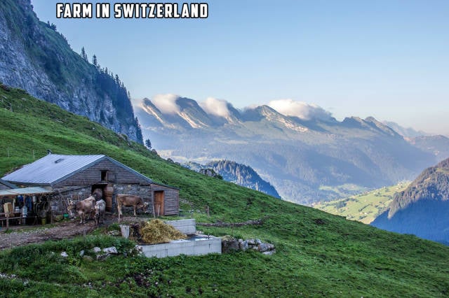 morning picdump 55 pics 24.html - 55 HD Photos | Premium Gallery 2015