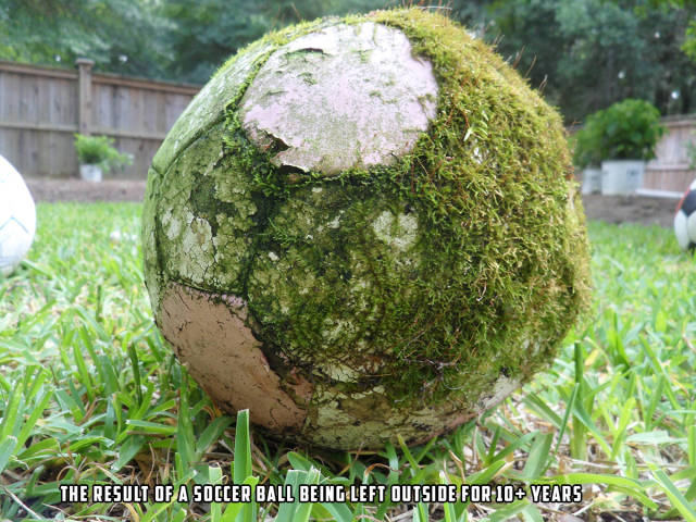 morning picdump 55 pics 24.html - 55 HD Photos | Premium Gallery 2015