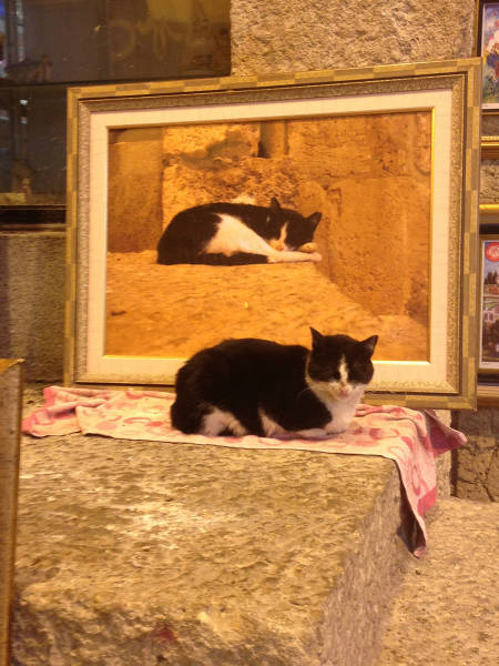 morning picdump 55 pics 24.html - 55 HD Photos | Premium Gallery 2015