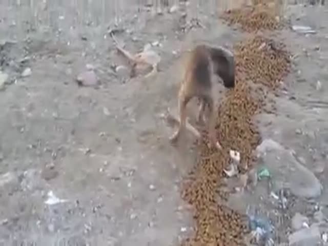 page,29,top 500 videos of the year 2015.html - 1 HD Video | Premium Gallery 2015