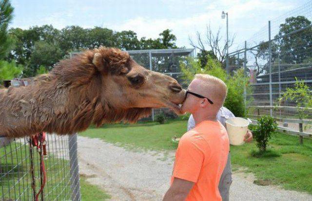 daily picdump 95 pics 54.html - 95 HD Photos | Premium Gallery 2015