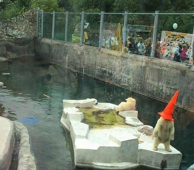 daily picdump 95 pics 54.html - 95 HD Photos | Premium Gallery 2015