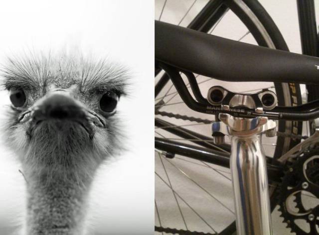 daily picdump 95 pics 54.html - 95 HD Photos | Premium Gallery 2015