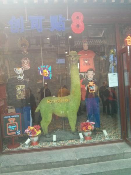 daily picdump 95 pics 54.html - 95 HD Photos | Premium Gallery 2015