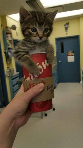 daily picdump 95 pics 54.html - 95 HD Photos | Premium Gallery 2015