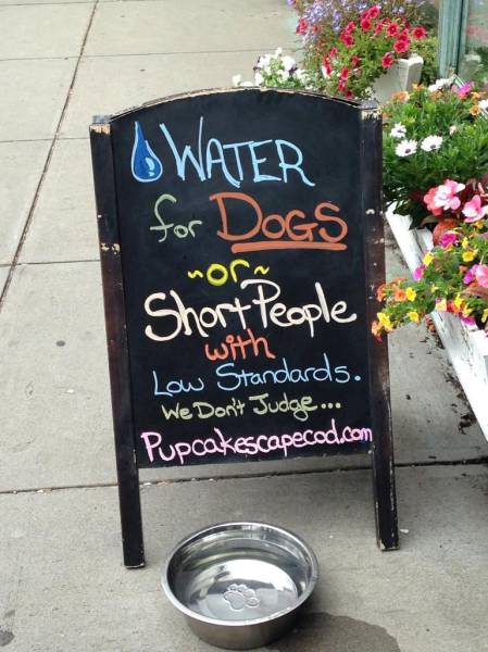 daily picdump 95 pics 54.html - 95 HD Photos | Premium Gallery 2015