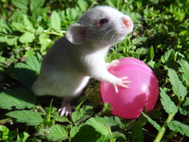 daily picdump 95 pics 54.html - 95 HD Photos | Premium Gallery 2015