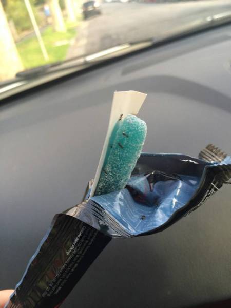 daily picdump 95 pics 54.html - 95 HD Photos | Premium Gallery 2015