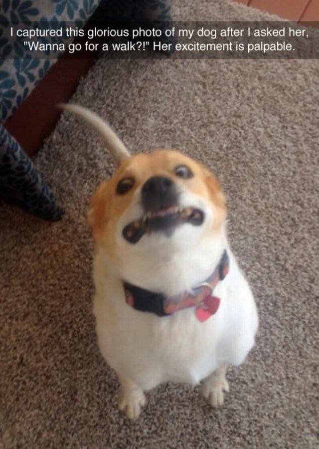 daily picdump 95 pics 54.html - 95 HD Photos | Premium Gallery 2015