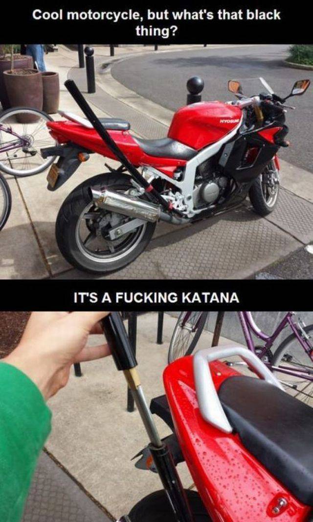 daily picdump 95 pics 54.html - 95 HD Photos | Premium Gallery 2015