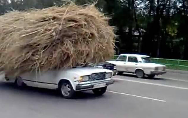 morning picdump 53 pics 14.html - 53 HD Photos | Premium Gallery 2015