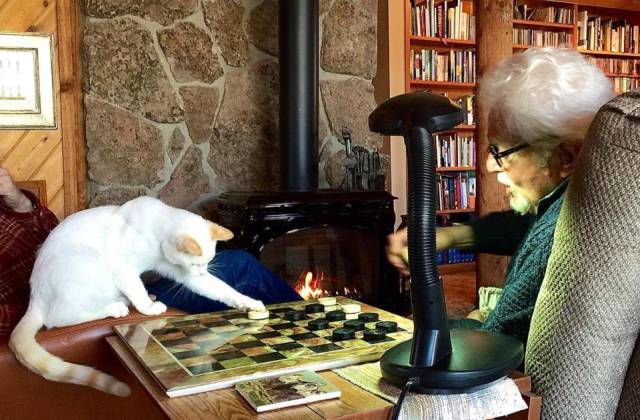 morning picdump 53 pics 14.html - 53 HD Photos | Premium Gallery 2015