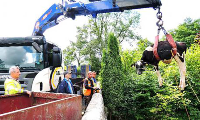 morning picdump 53 pics 14.html - 53 HD Photos | Premium Gallery 2015