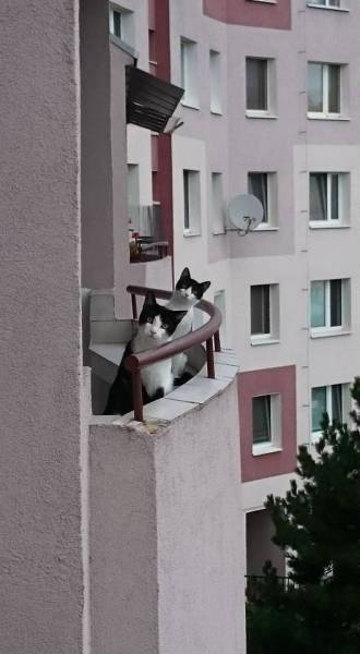 morning picdump 53 pics 14.html - 53 HD Photos | Premium Gallery 2015