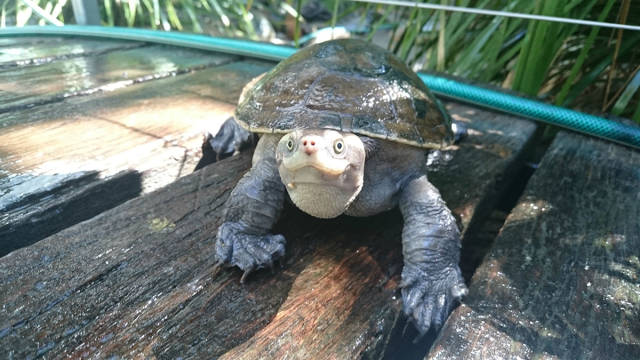 morning picdump 53 pics 14.html - 53 HD Photos | Premium Gallery 2015